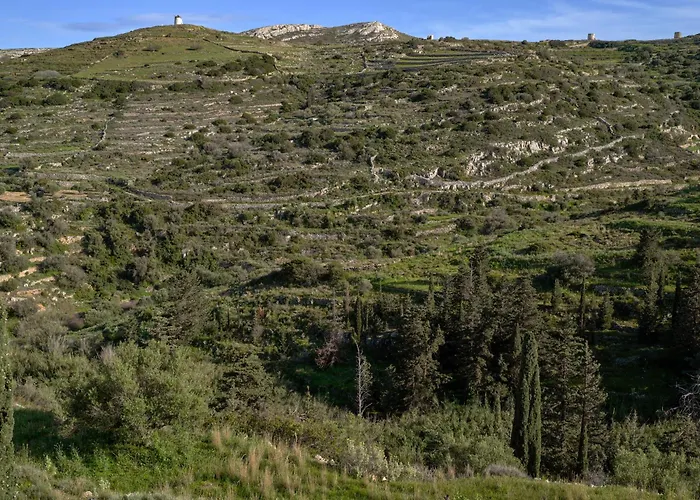 Pezoules House Ii Villa Lefkes (Paros)