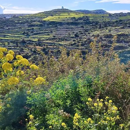 Villa Pezoules House Ii Lefkes (Paros)